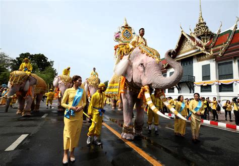 泰國大象意義